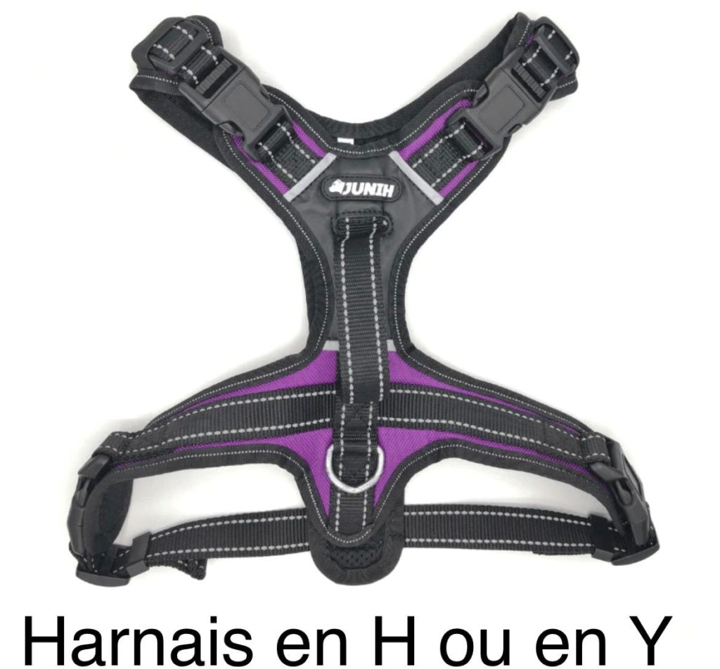 harnnais h