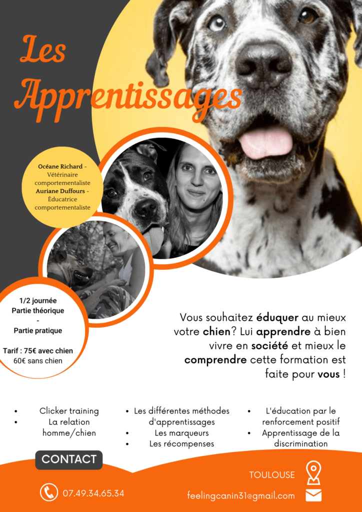 Atelier : Les Apprentissages​; chien; activité