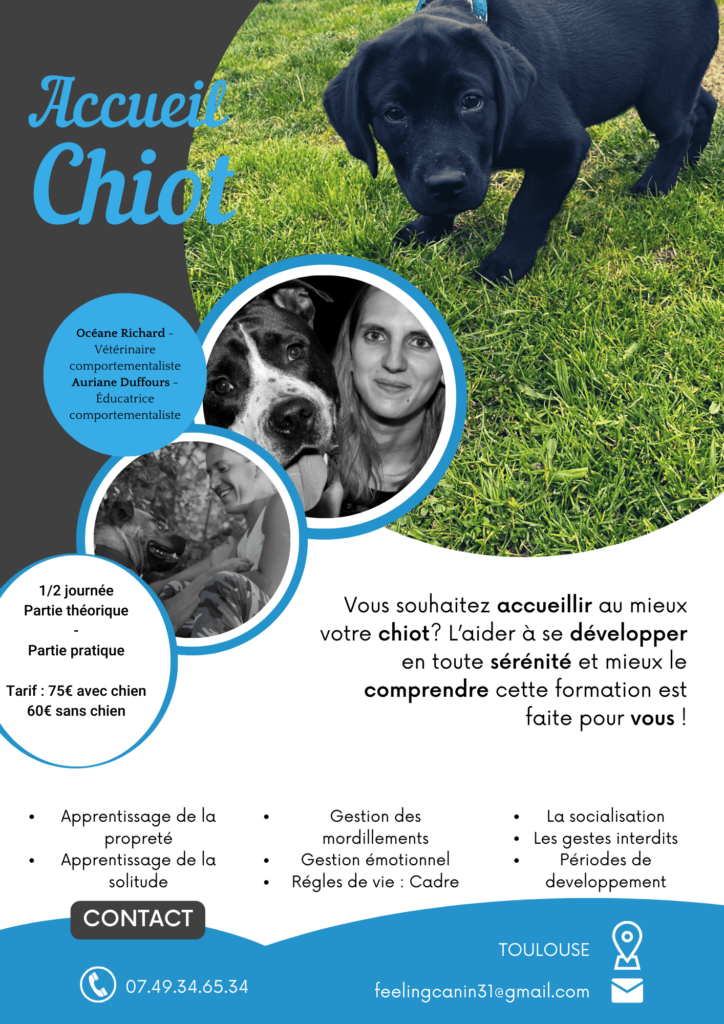 Atelier Accueil du chiot